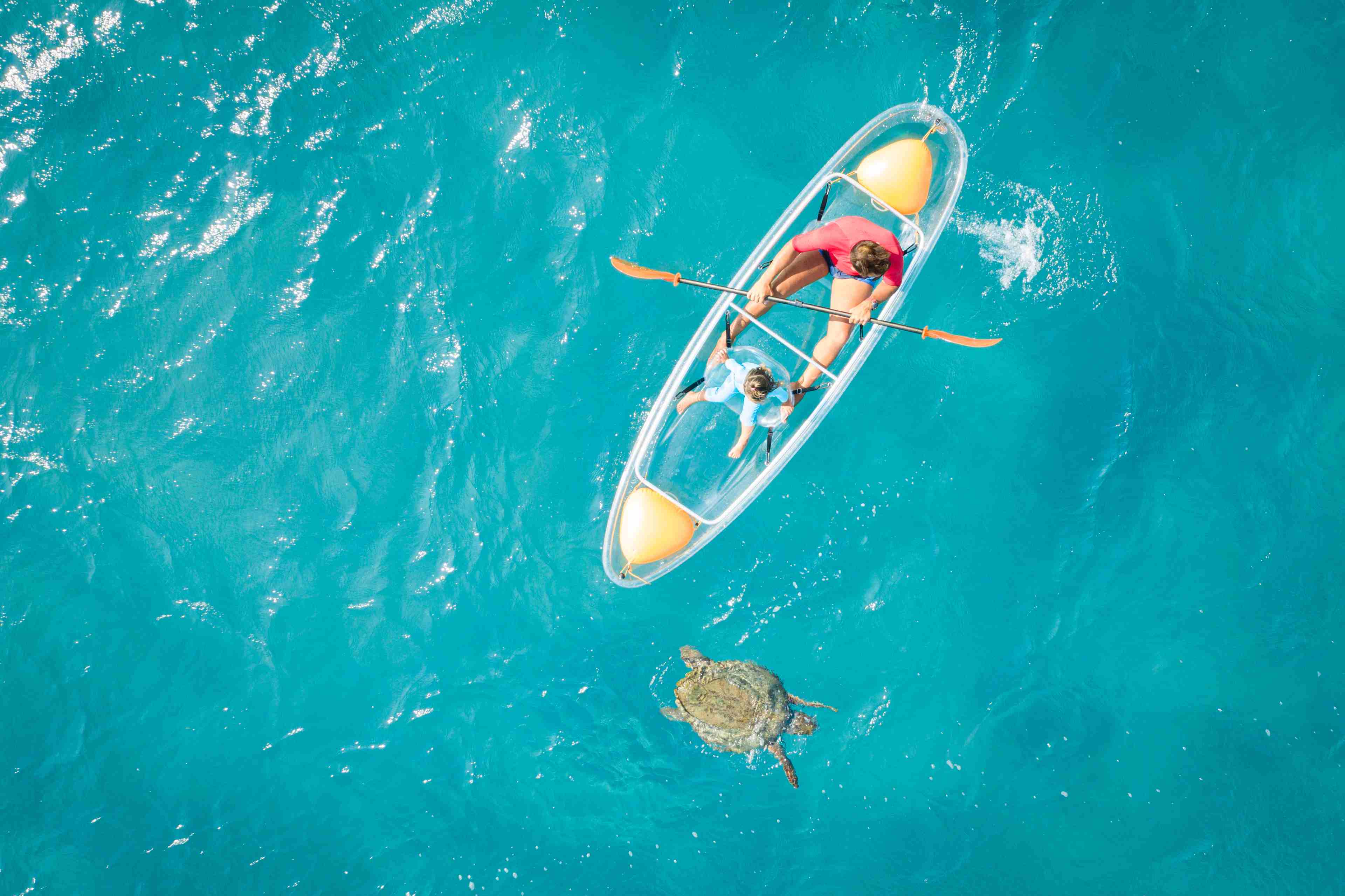 a Family turtle spotting in a kayak on zakynthos