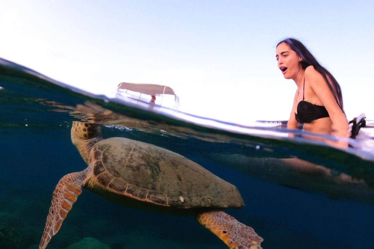 A girl watching a turtle from her transparent kayak