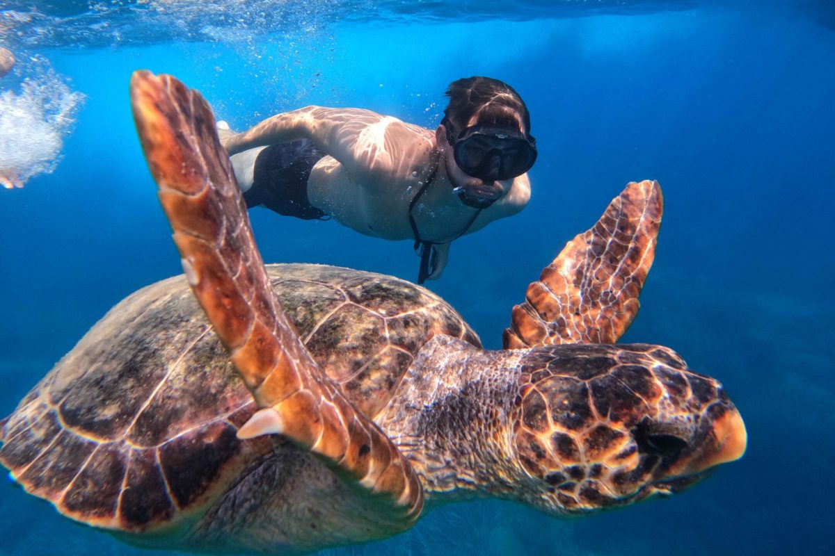 Eco-friendly SUP turtle watching tour by a guy